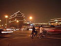 cina 208